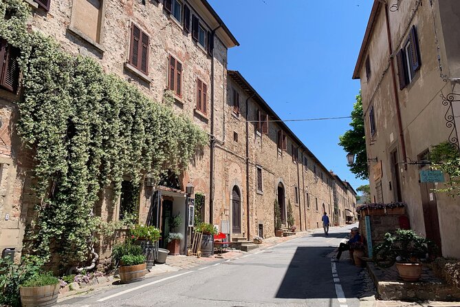 Tuscany Wine Tour in San Gimignano From Livorno Port - Accessibility and Considerations
