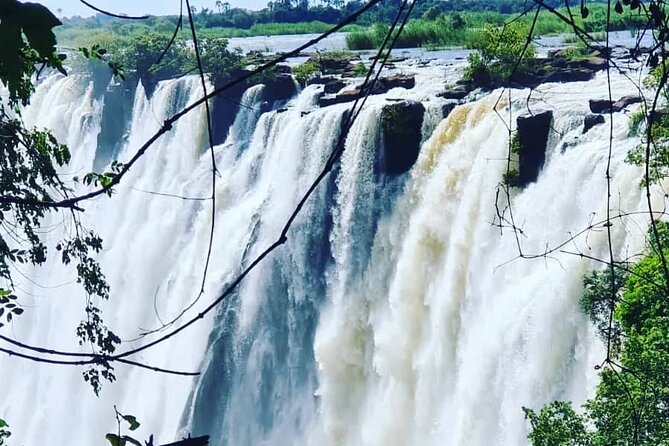 Victoria Falls Tour From Livingstone - Customer Reviews and Ratings