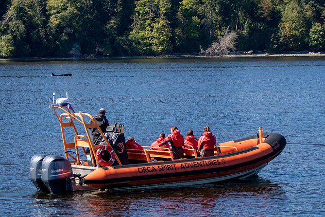 Victoria: Winter Whale Watching & Marine Wildlife Tour - Tips for Travelers
