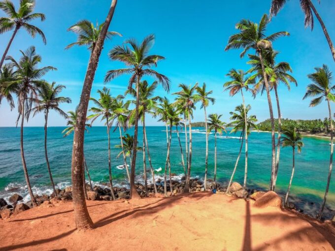 Western Province: Private Culture, Nature, and Beach Tour - Reservation Details