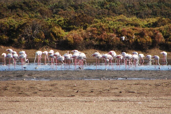 Wild National Park & Sahara Desert Including Couscous & Tajine - Frequently Asked Questions