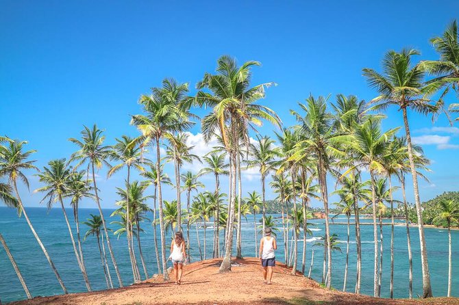 Wild Wonders Of Sri Lanka | 7 Days - Traveler Reviews and Experiences