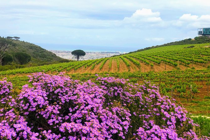 Wine Tasting - Boutique Farms - Booking and Cancellation Policy