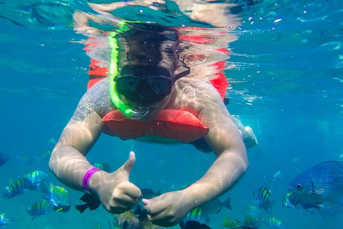 Yelapa Waterfall, BBQ at Exclusive Majahuitas Beach & Open Bar - Booking Information