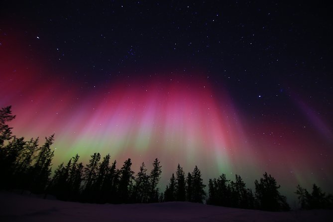 Yellowknife Tours - Aurora by Bus - What to Expect on the Tour