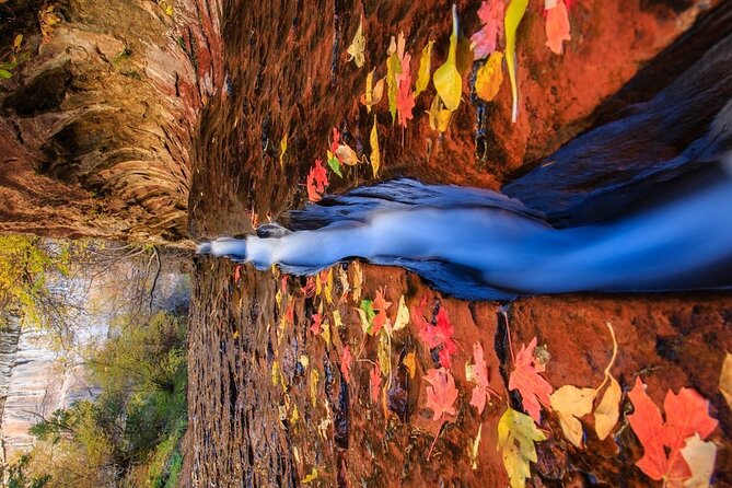 Zion, Bryce, & Antelope Canyon Adventure: Small Group 3-Day Tour - Sum Up