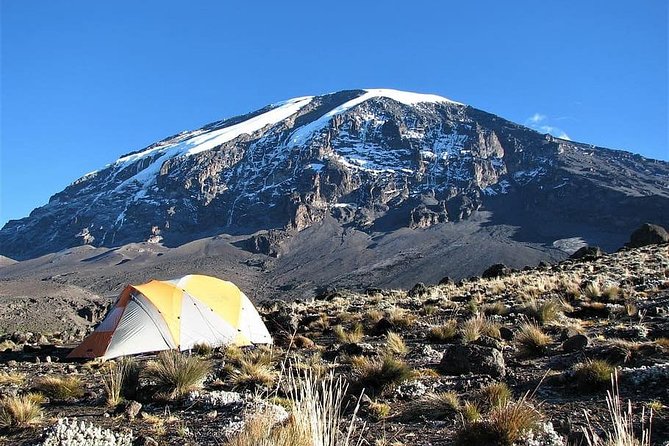 9 Days Kilimanjaro Hiking [ Climbing ] via Northern Circuit Route - Good To Know