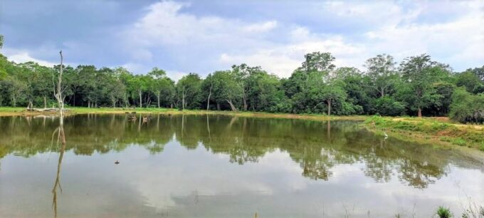 8 Days - Sri Lanka Sightseeing Tour - Frequently Asked Questions