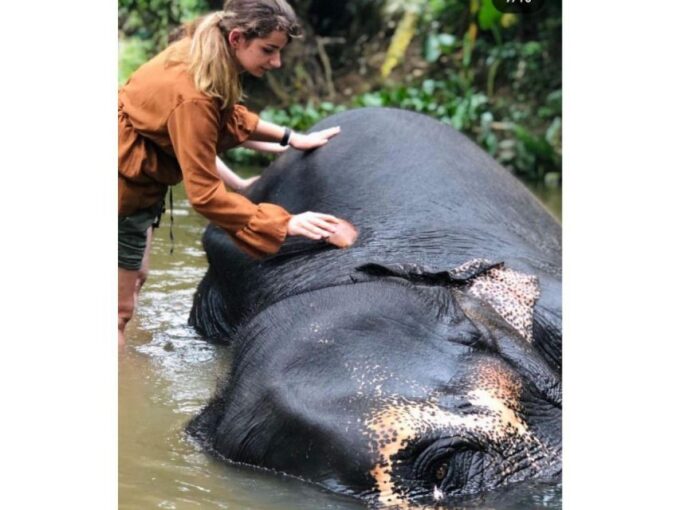 Kandy to Pinnawala Day Tour By Local Tuk Tuk Expedition - Frequently Asked Questions