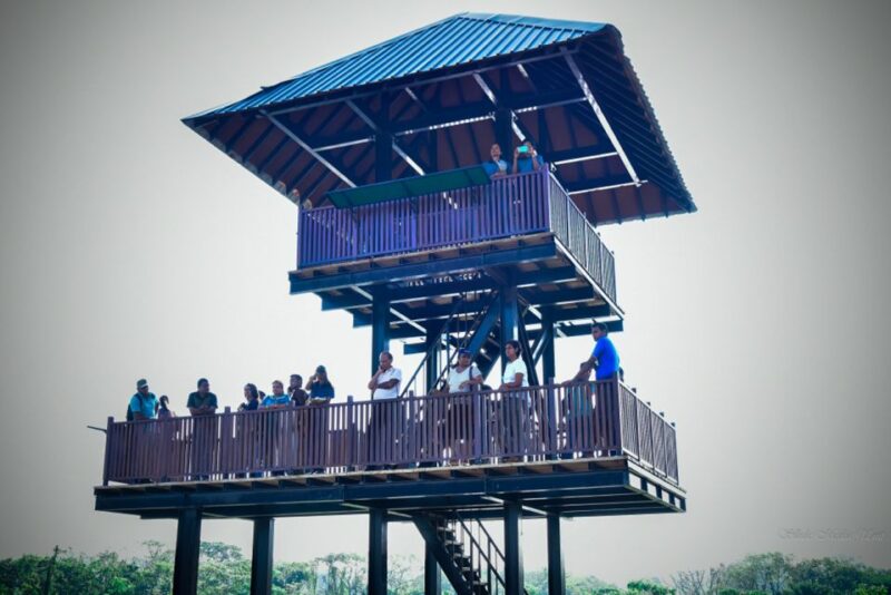 Shore Excursion to Colombo Wetland & Bird Watching by Car - Transportation and Amenities