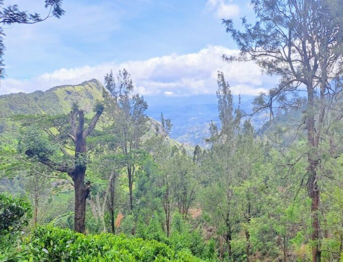 Sri Lanka 10 Days Tour Package - Best of Sri Lanka - Frequently Asked Questions
