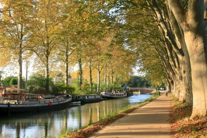 Toulouse: Self-Guided Audio Tour - Customer Feedback and Ratings