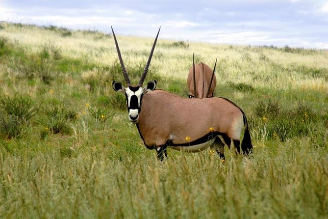 A Day Trip to Saadani National Park From Dar Es Salaam / Zanzibar - Key Points