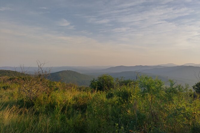 A Full Day Safari Tour to the Hluhluwe Imfolozi Big 5 Game Reserve - Key Points