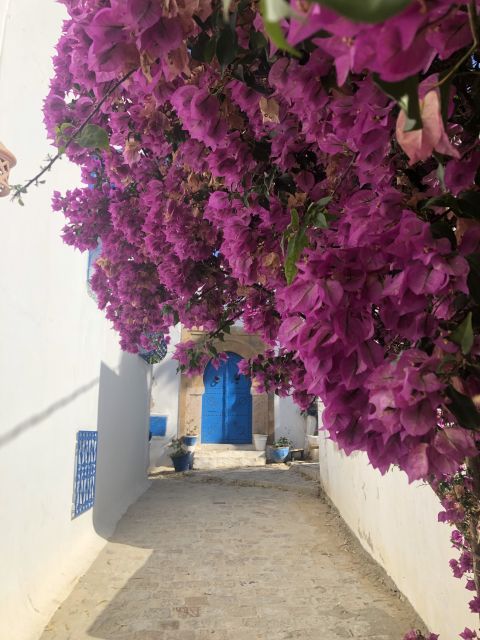 A Full Day Tour of Carthage Sidi Boussaid and Medina of Tuni - Good To Know
