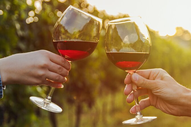 A Wine Tasting Experience in the Vineyards of the Desert - Good To Know