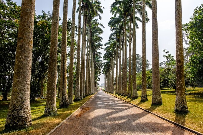 Aburi Botanic Gardens and Boti Falls Full-Day Private Tour - Good To Know