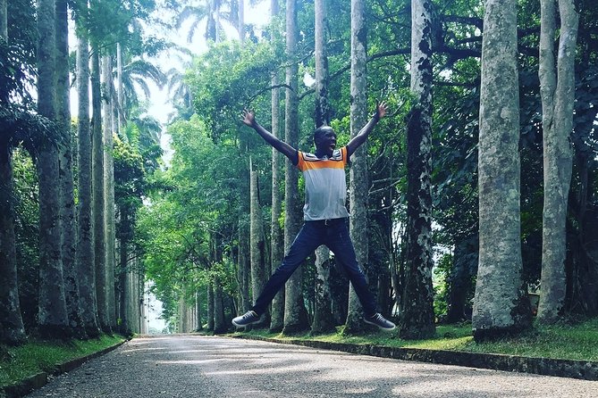 Aburi Gardens and Tetteh Quarshie Farms - Key Points