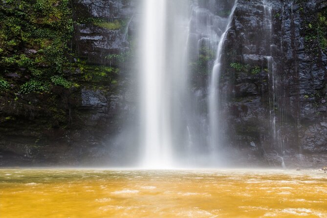 Accra: Wli Waterfalls and Tafi Monkey Sanctuary Private Day Tour - Good To Know