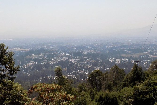 Addis Ababa City Tour - Exploring Addis Ababas Ancient Gems