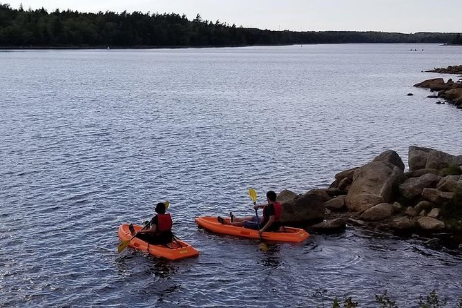 Adult Single Kayak Rental - Good To Know