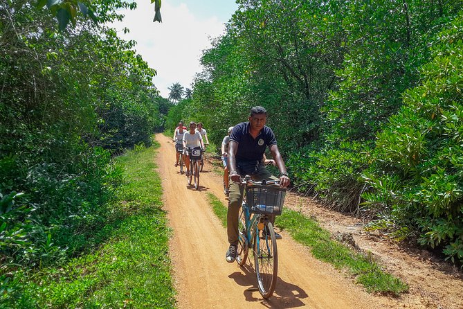 Adventure Cycling From Galle - Good To Know