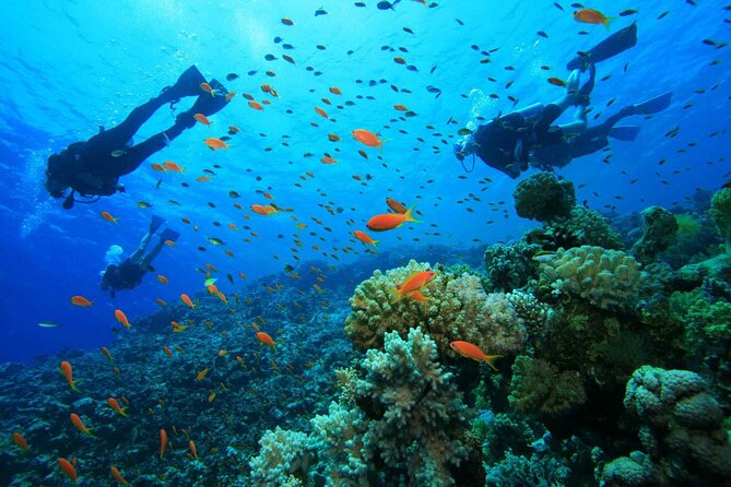 Adventure Diving in San Andres for Beginners 4 Hours - About Your Stay