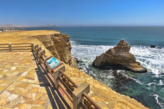 Adventure in the Paracas National Reserve in Private - Inclusions and Pickup