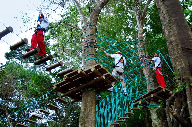 Adventure Park High Ropes Course - Overview and Location