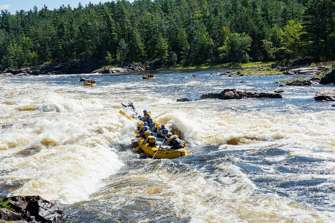 Adventure Rafting on the Ottawa River - Good To Know