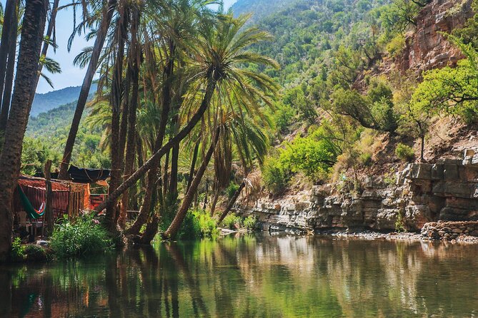 Agadir or Taghazout: Paradise Valley Atlas Mountain Swimming Trip - Good To Know