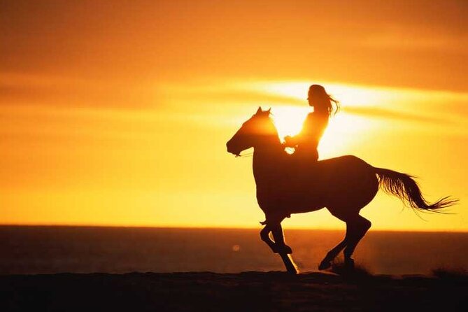 Agadir/Taghazout Horse Ride on the Beach - Good To Know