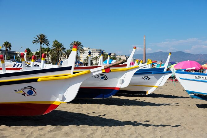 Airport Transfer: Malaga Airport AGP to Malaga by Luxury Van - Overview of the Transfer Service