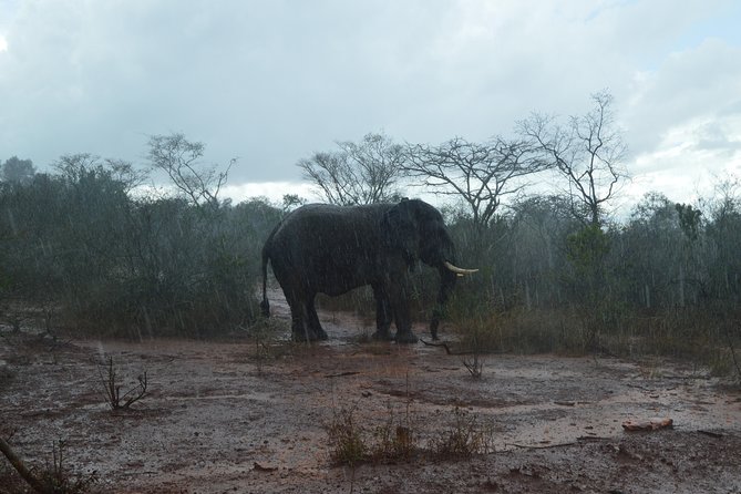Akagera National Park - Good To Know