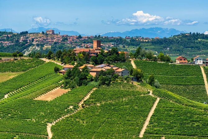Alba Wine Tours, Private Tasting Experience Around Langhe Area. - Overview of Alba Wine Tours