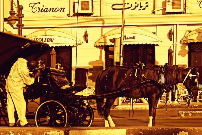 Alexandria Horse Carriage Tour - Good To Know