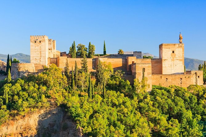 Alhambra and Generalife Private Guided Tour With Optional Nasrid Palaces - Key Points
