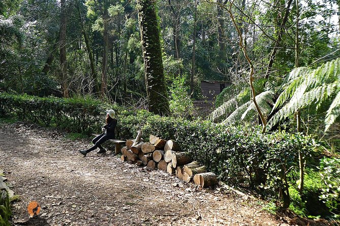 Alliance Underground Museum and Bussaco Forest - Coimbra - Exploring the Alliance Underground Museum