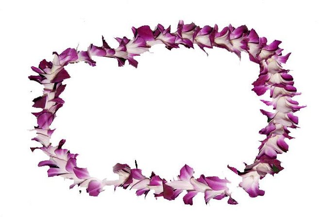 Aloha Lei Greeting on Arrival in Maui