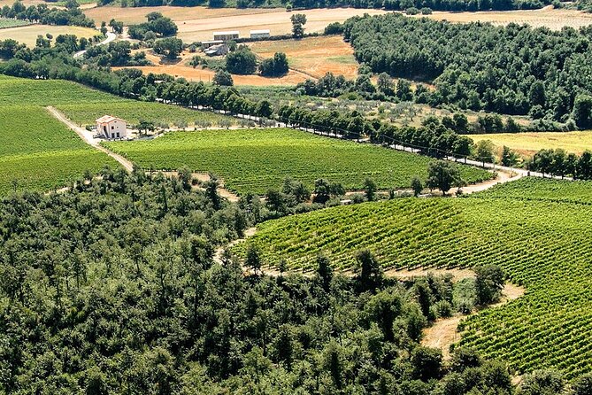 Alta Tuscia Ebike Tour With Visit to Antica Cantina Leonardi - Key Points