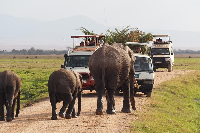 Amboseli National Park Full Day Guided Tour - Key Points