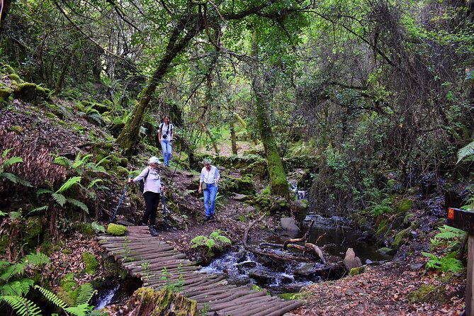 An Adventure Through the Schist Villages of Lousã (With Walk) - Traveler Photos of Schist Villages