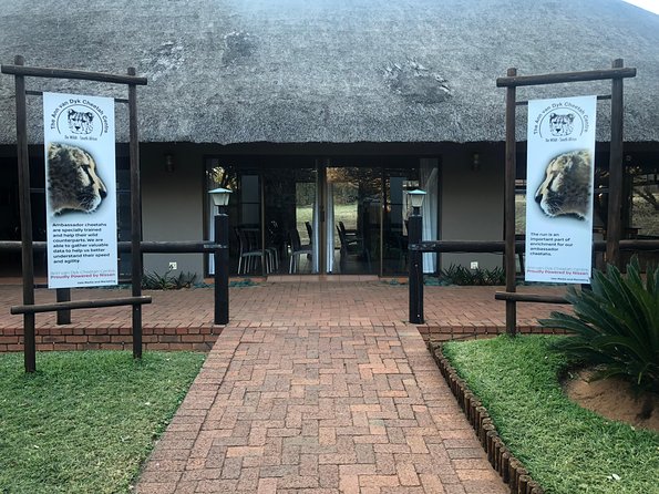 Ann Van Dyk Cheetah Centre Tour From Johannesburg or Pretoria - Good To Know