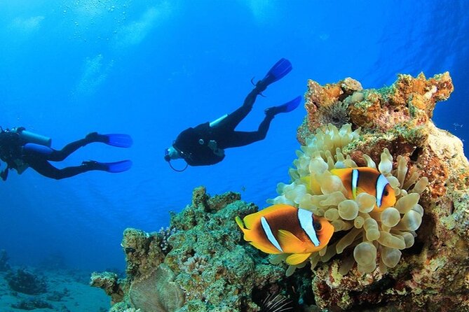 Antalya Scuba Diving With Transfer Review - Tour Overview and Inclusions