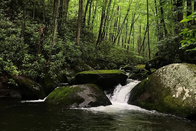 Appalachian Waterfalls Hike - Good To Know