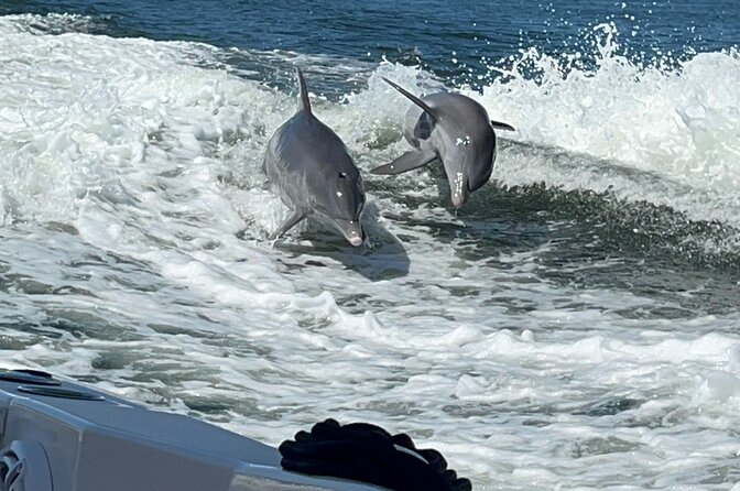 Aqua Sol Adventures-4.5 Hour Private Snorkeling,Dolphin,Shelling - About Your Stay