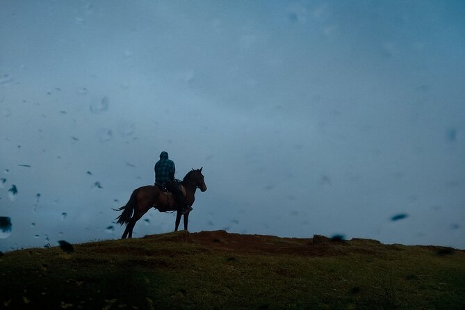 Archaeological Horseback Riding off the Tourist Routes in Rapa Nui - Good To Know