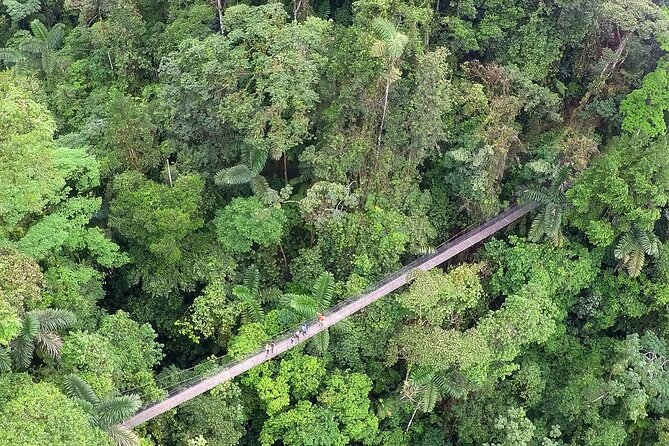 Arenal Hanging Bridges With Hotsprings, Lunch and Dinner - About Your Stay