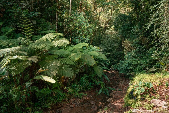 Arenal Natural Hiking Trails
