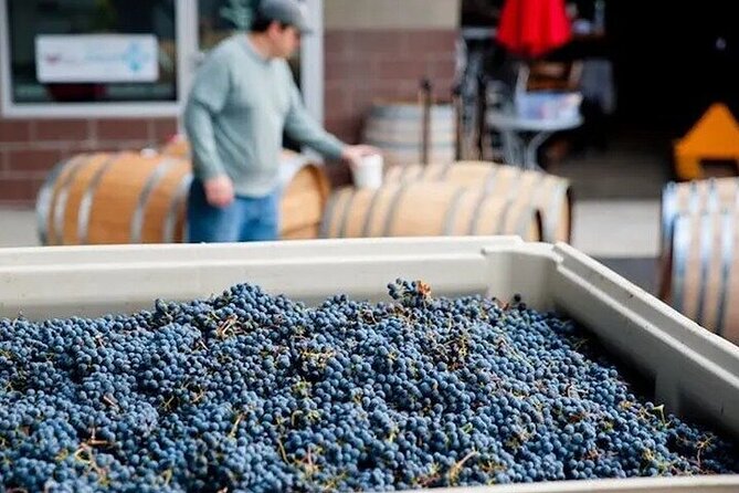 Artisan Hill Wine Pass Review: Worth It - Whats Included in the Pass
